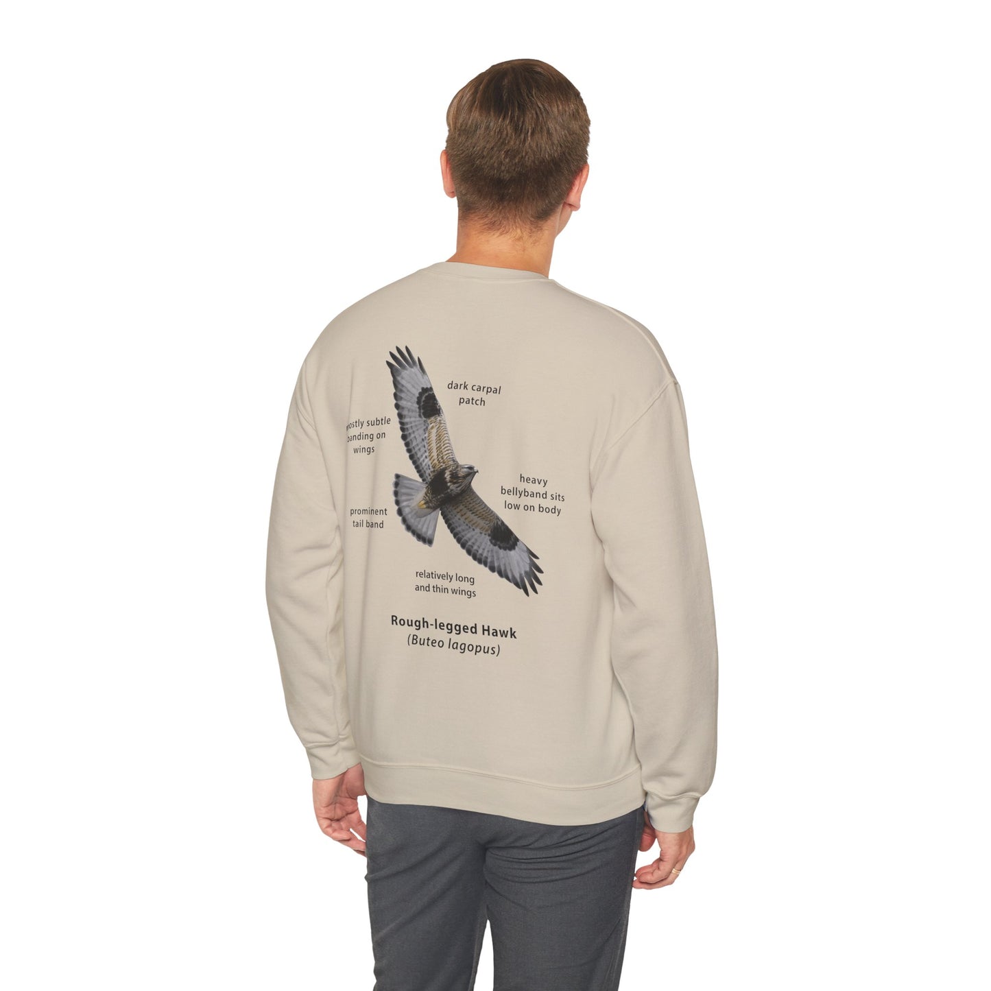 Rough-legged Hawk ID Crewneck