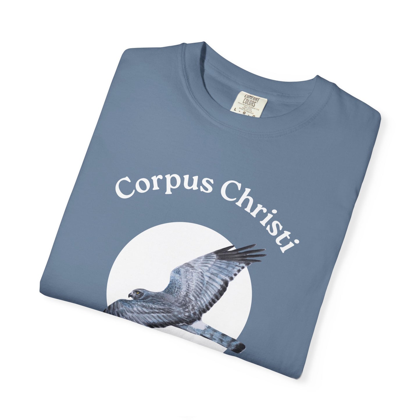 2025 Celebration of Flight Tee