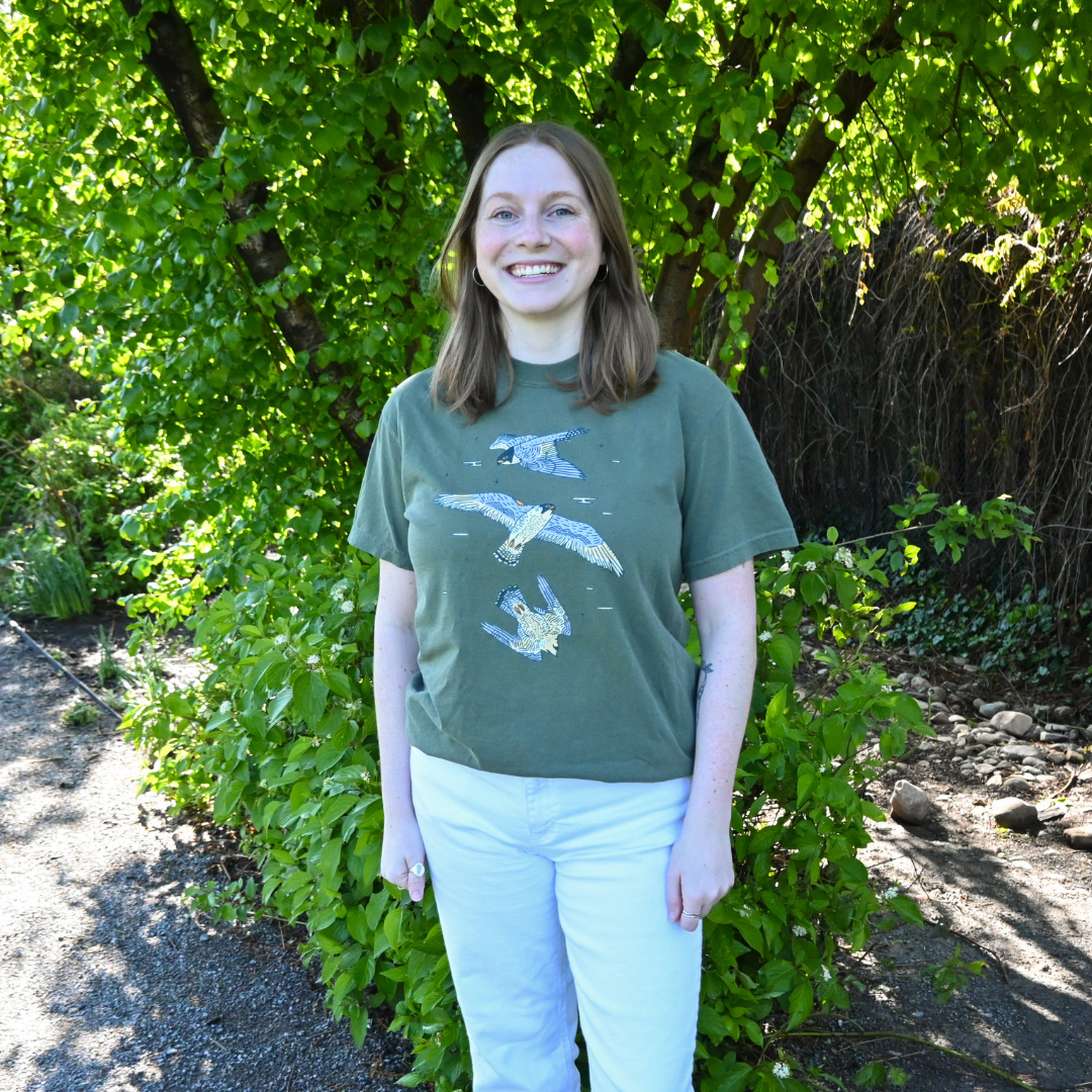 Peregrine Falcon Tee