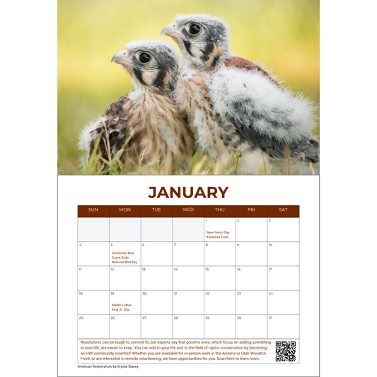 PRE-ORDER: 2026 Calendar