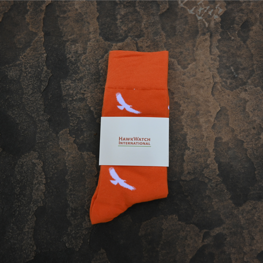 Hawk Socks