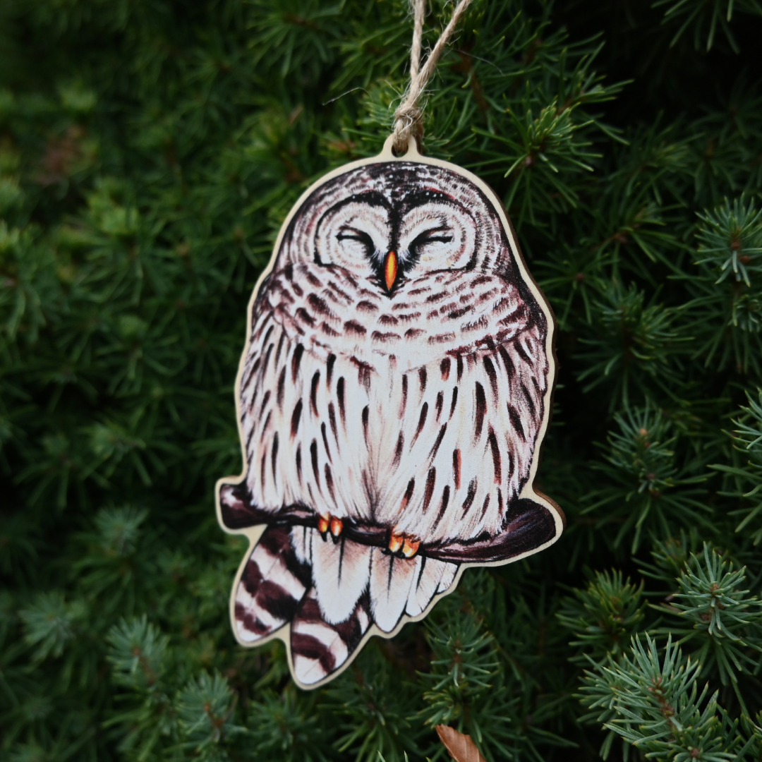 Barred Owl Ornament