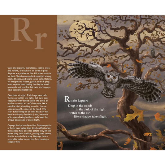 F is for Feather: A Bird Alphabet