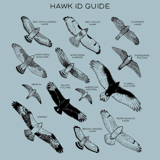 Hawks in Flight Tee
