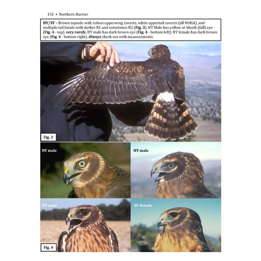 In-hand Guide to Diurnal North American Raptors