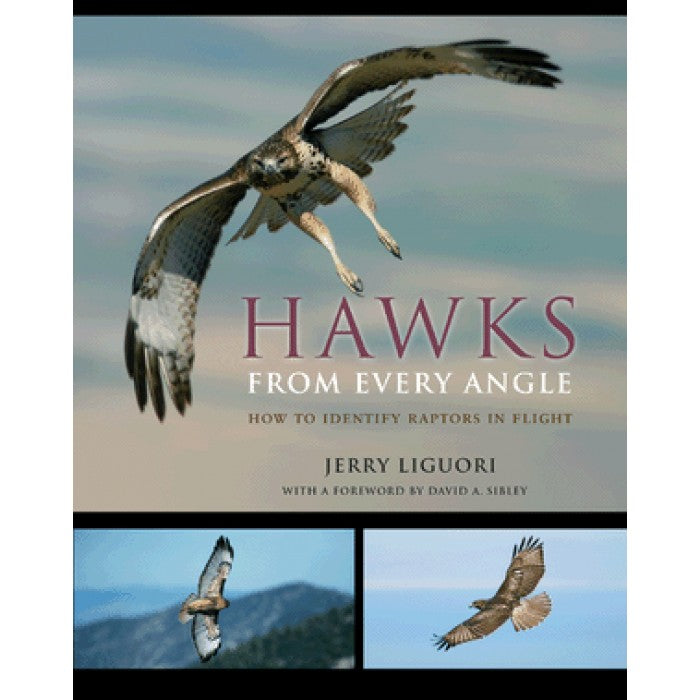 Hawks from Every Angle