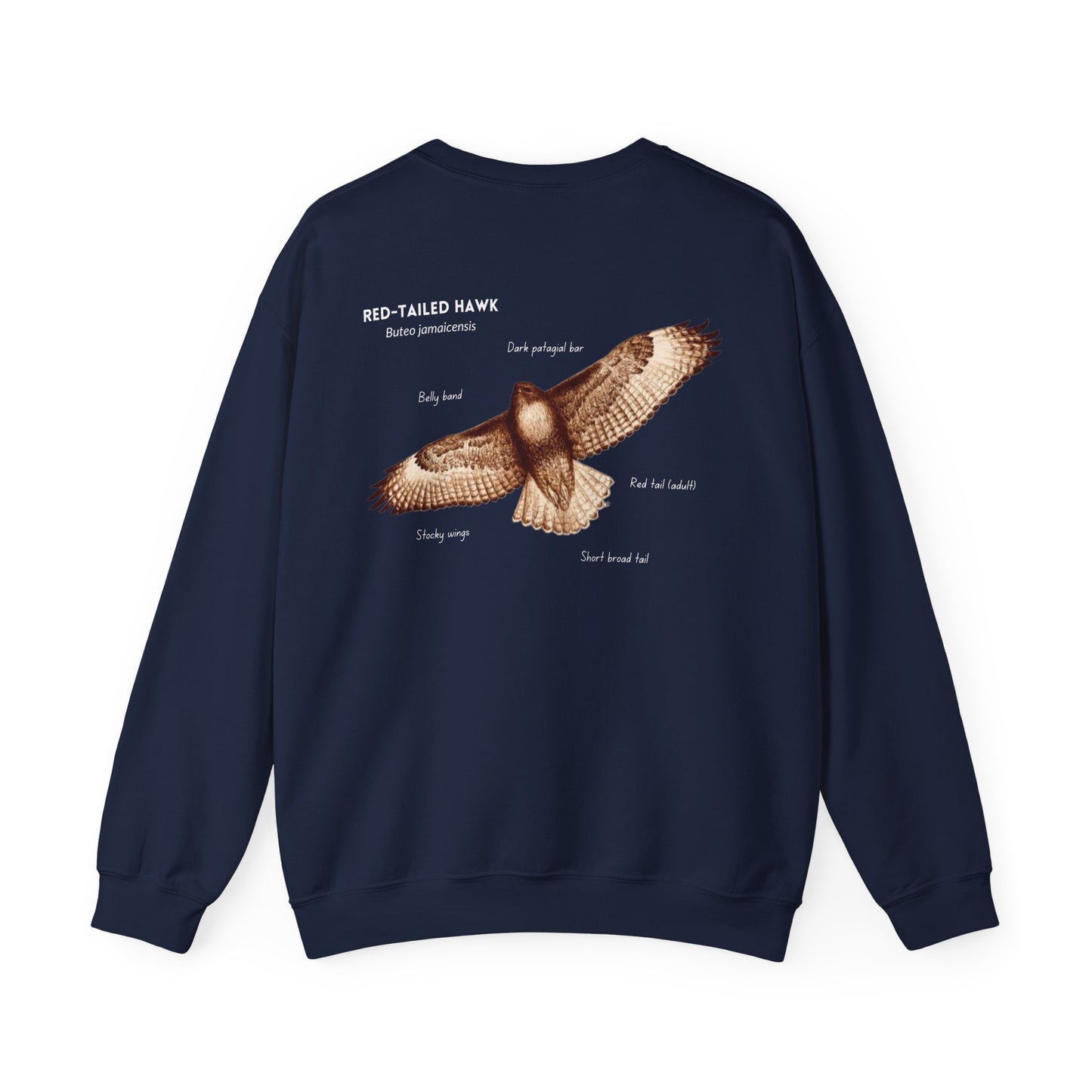 Red-tailed Hawk ID Crewneck