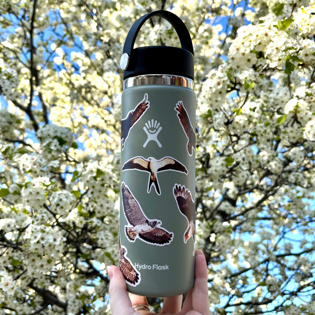 Raptors of Texas Sticker Pack