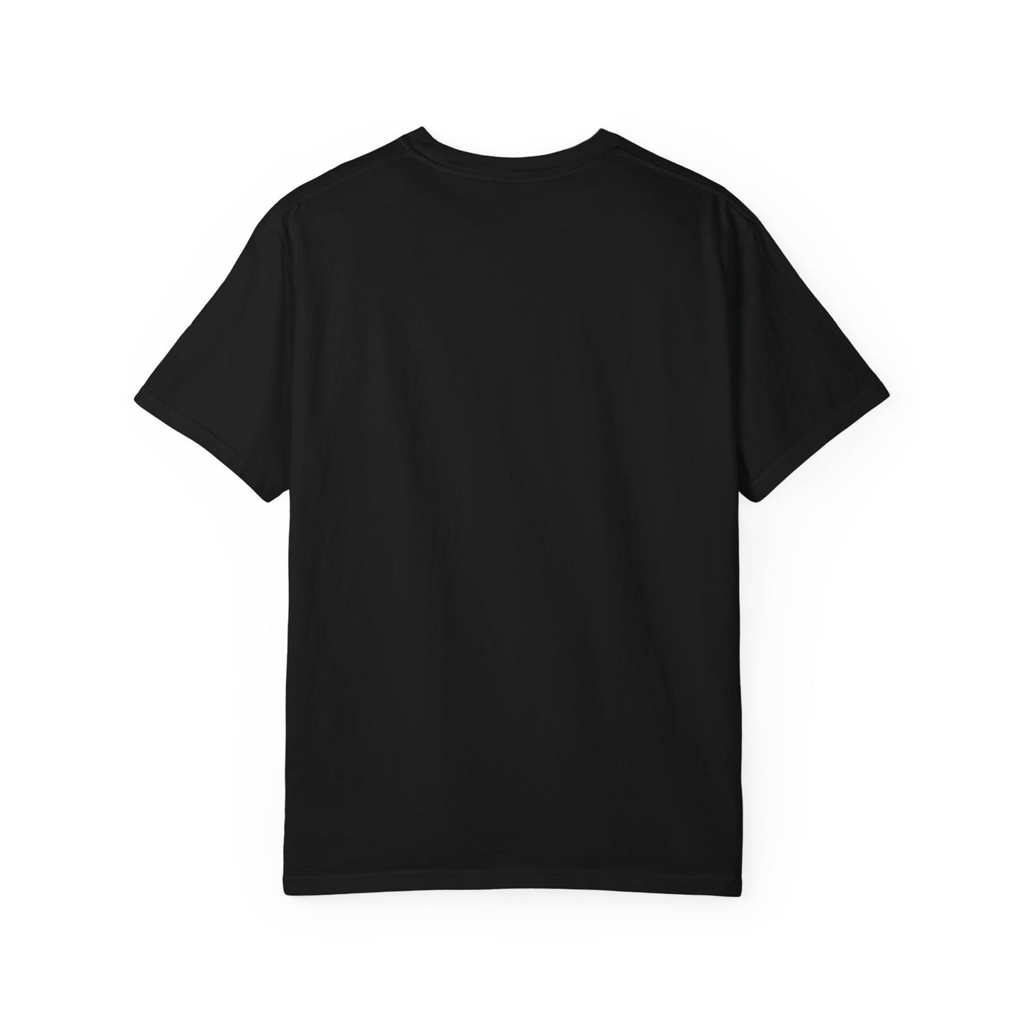 Ferruginous Hawk Tee