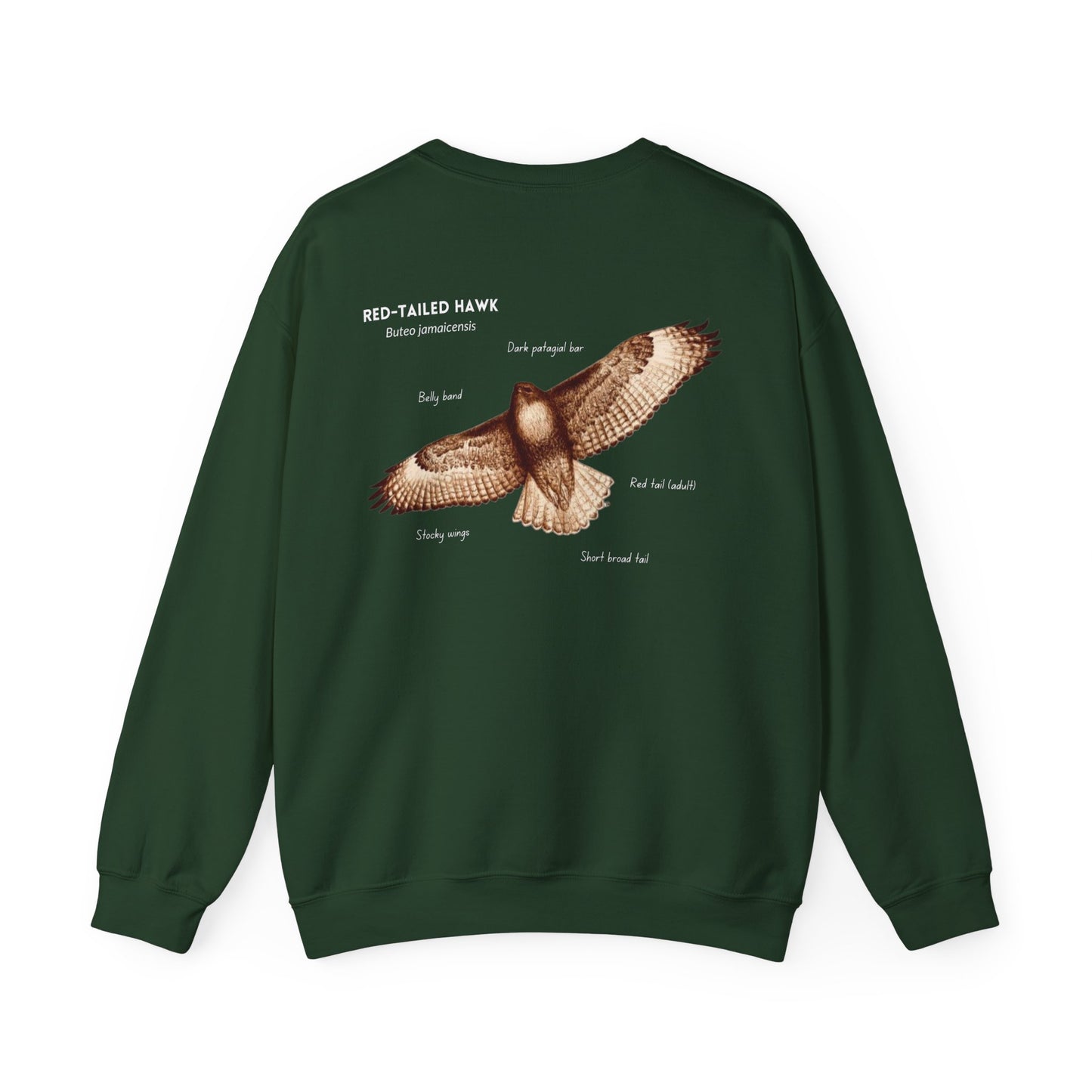 Red-tailed Hawk ID Crewneck