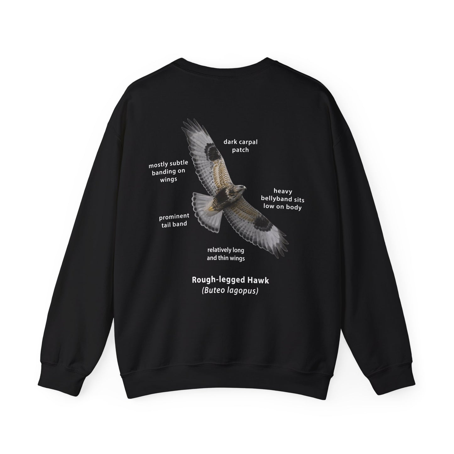 Rough-legged Hawk ID Crewneck