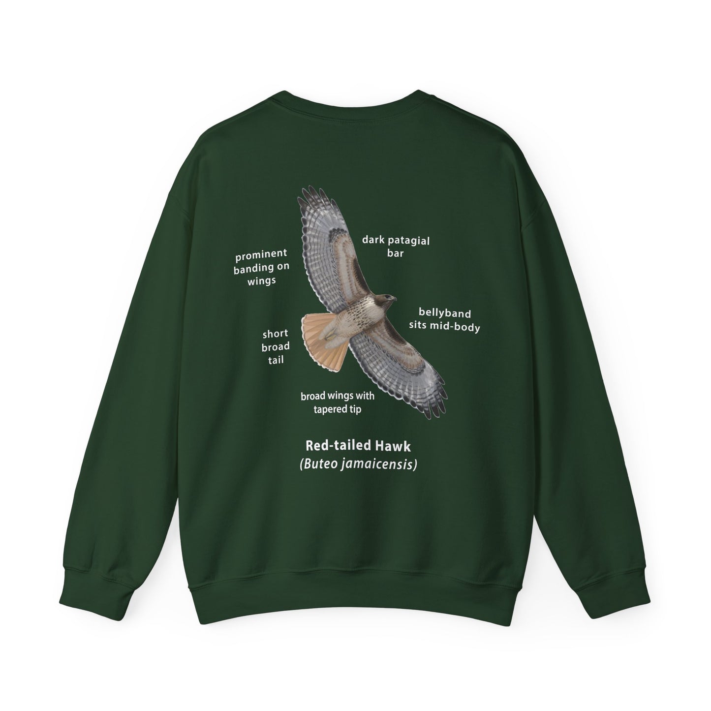 NEW Red-tailed Hawk ID Crewneck