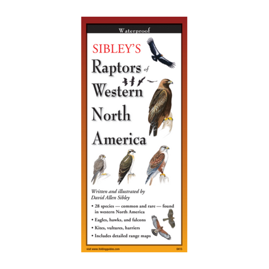 Sibley’s Raptors of Western North America