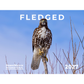 Cover of the 2027 HawkWatch International calendar with the title "fledged" featuring a juvenile Red-tailed Hawk