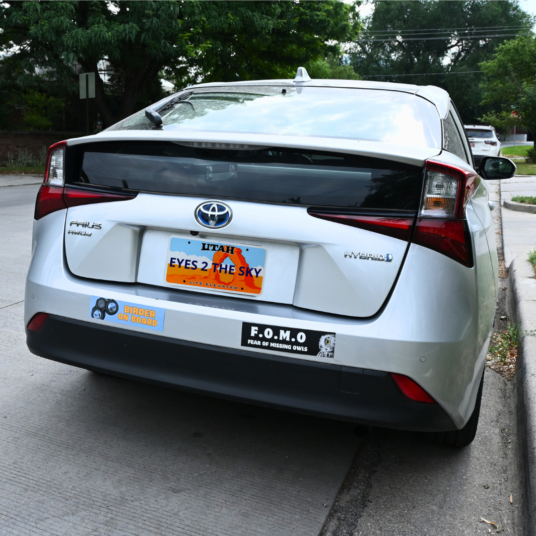 Birdy Bumper Stickers