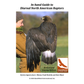 In-hand Guide to Diurnal North American Raptors