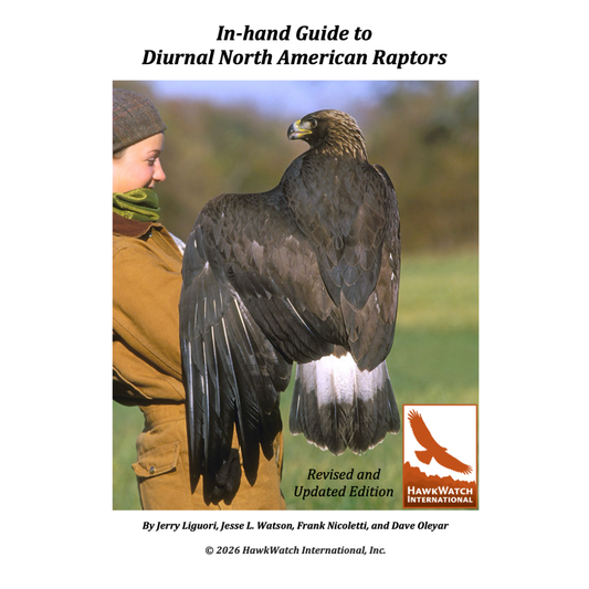 In-hand Guide to Diurnal North American Raptors