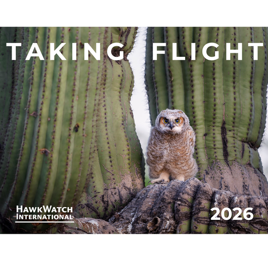PRE-ORDER: 2026 Calendar