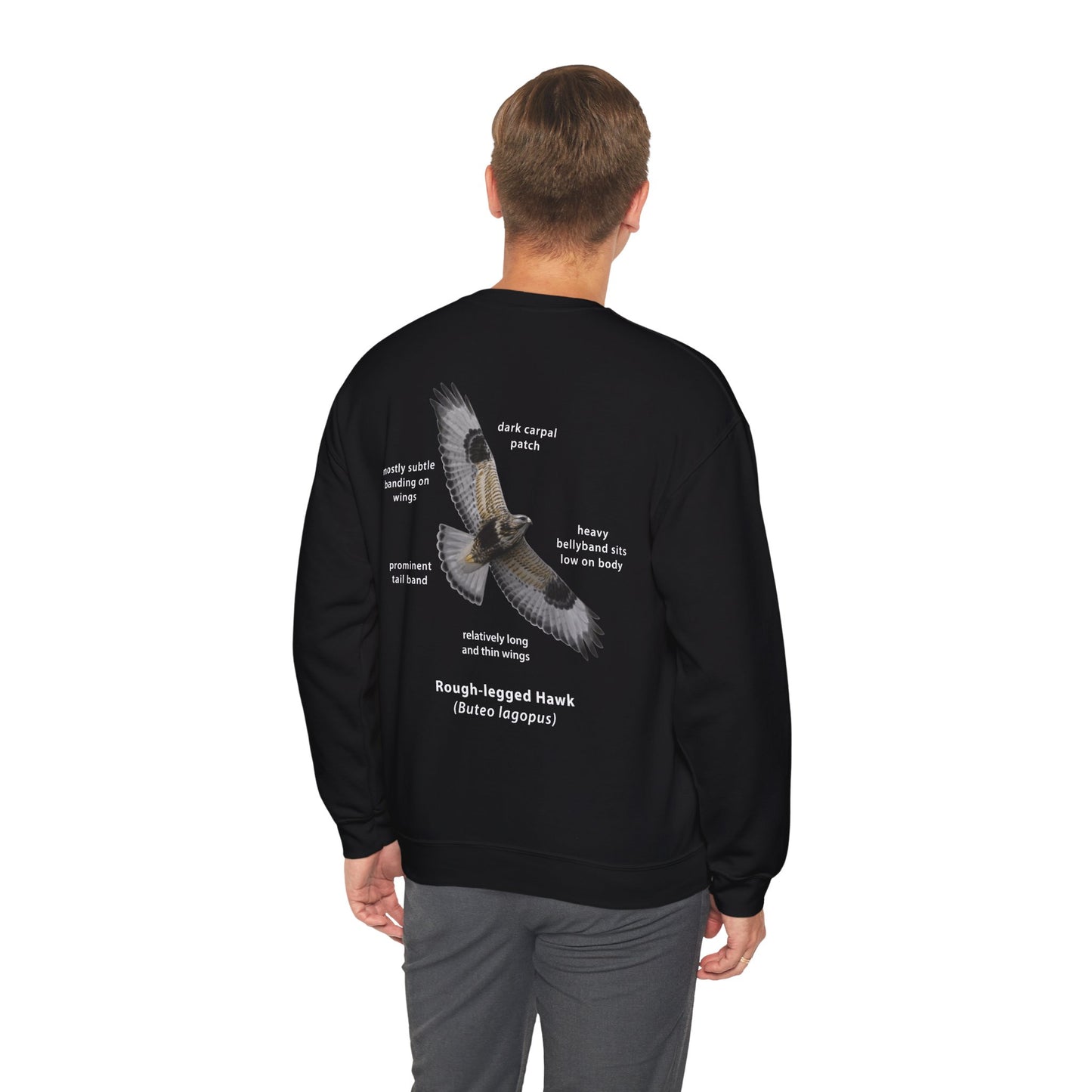 Rough-legged Hawk ID Crewneck