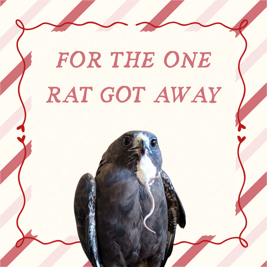 The One Rat Got Away