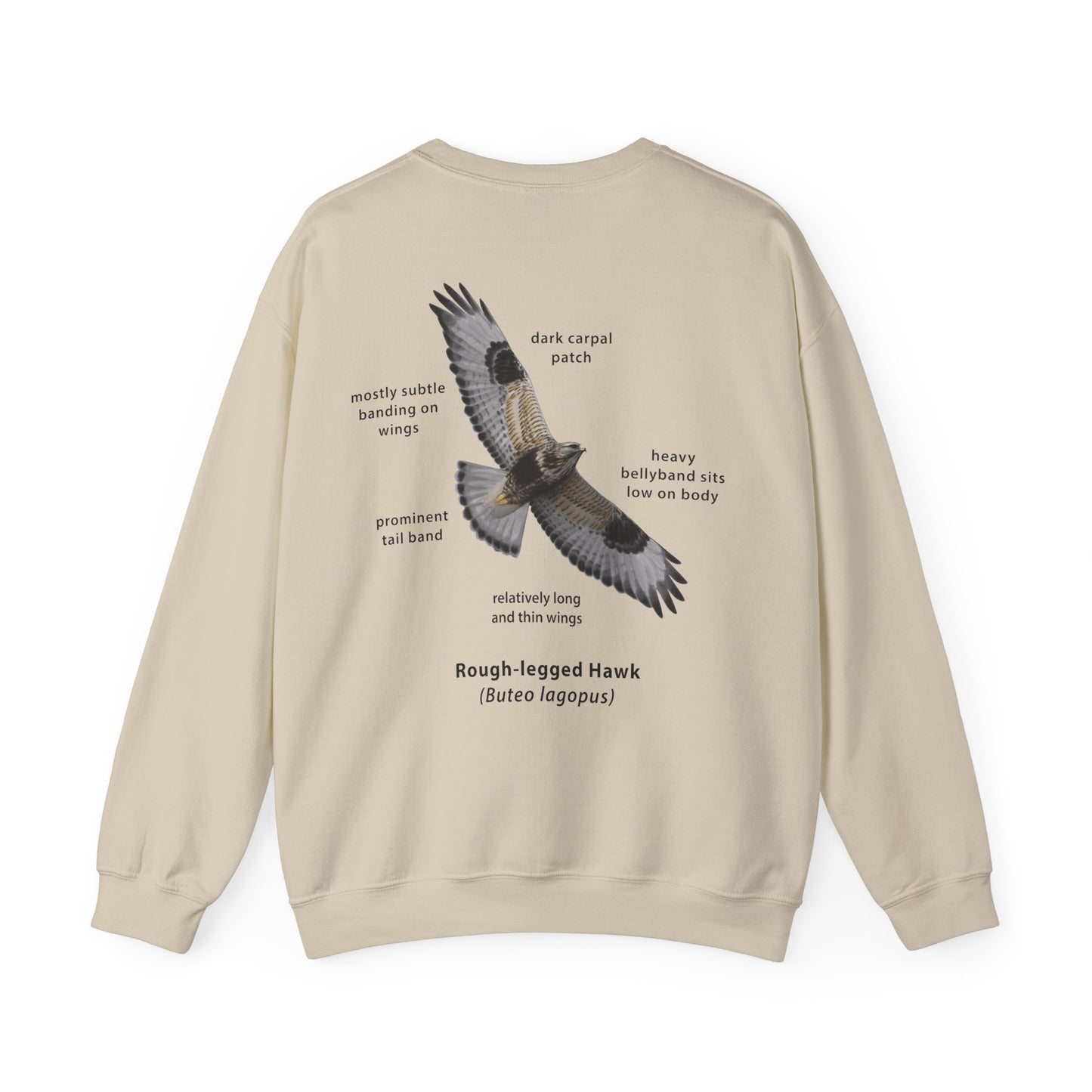 Rough-legged Hawk ID Crewneck