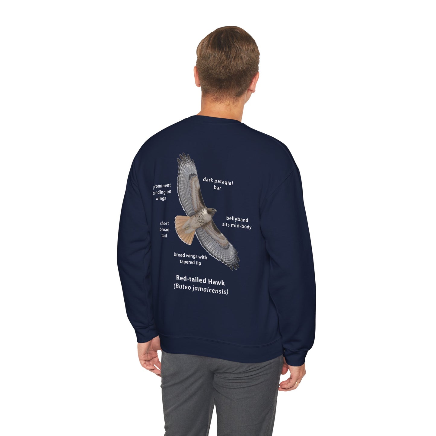 NEW Red-tailed Hawk ID Crewneck