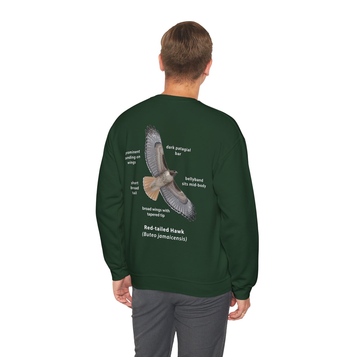 NEW Red-tailed Hawk ID Crewneck