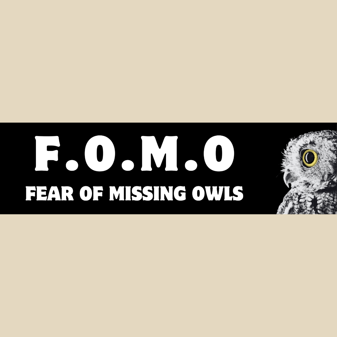 FOMO Bumper Sticker