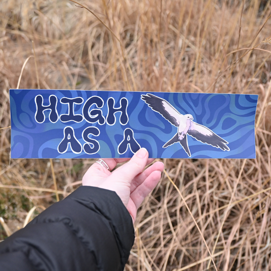 High as a Kite Bumper Sticker