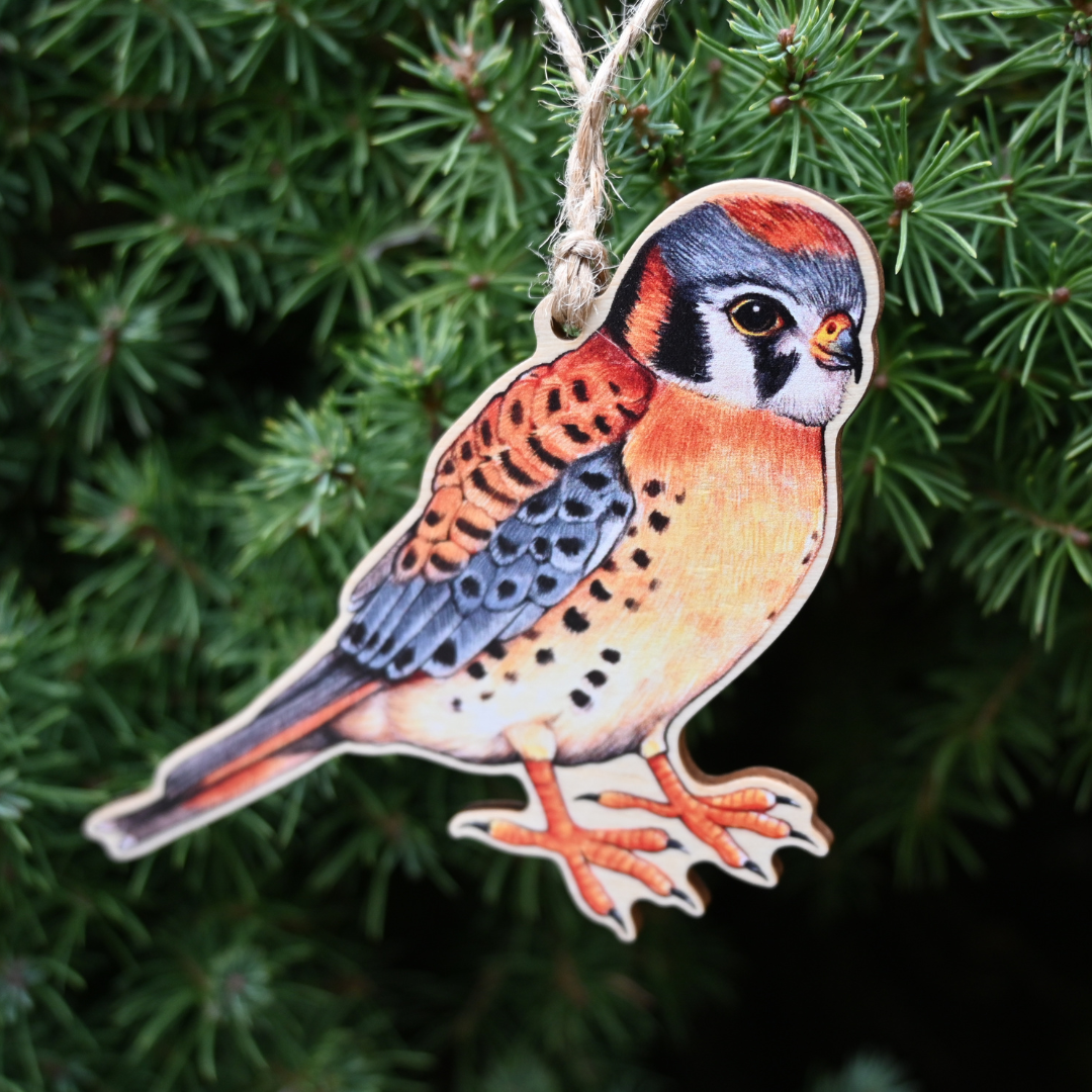 American Kestrel Ornament