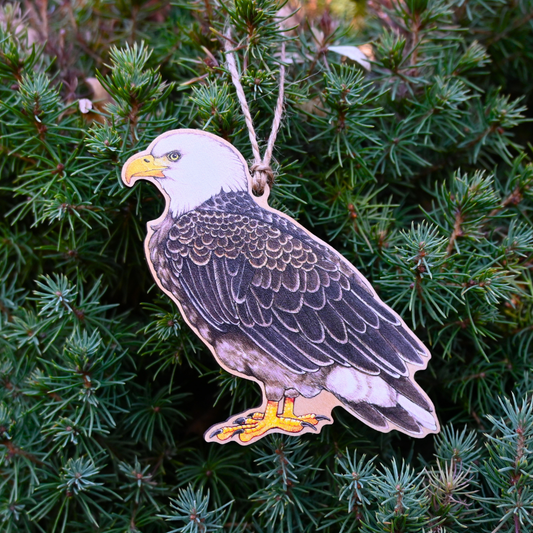 Bald Ealge Ornament