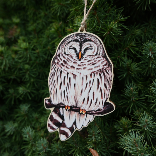 Barred Owl Ornament