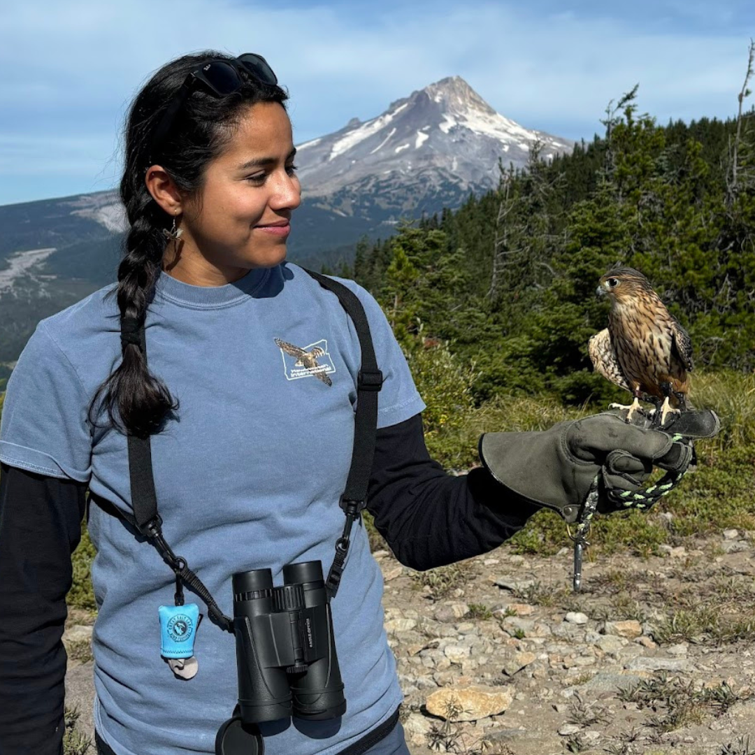 Bonney Butte HawkWatch Tee