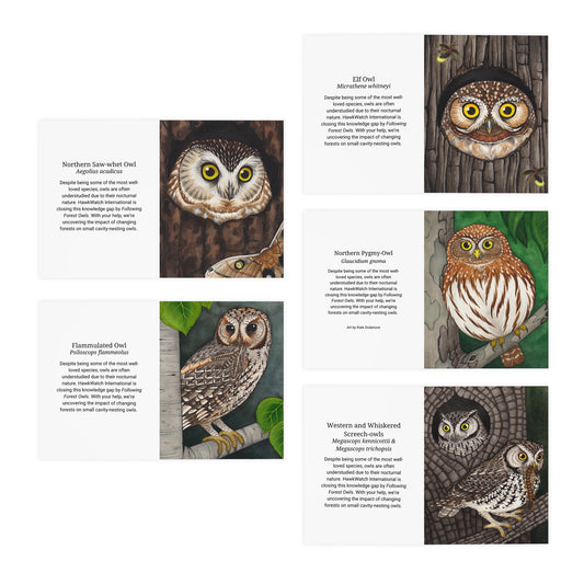 Owl cards front and back
