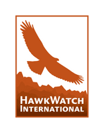 HawkWatch International