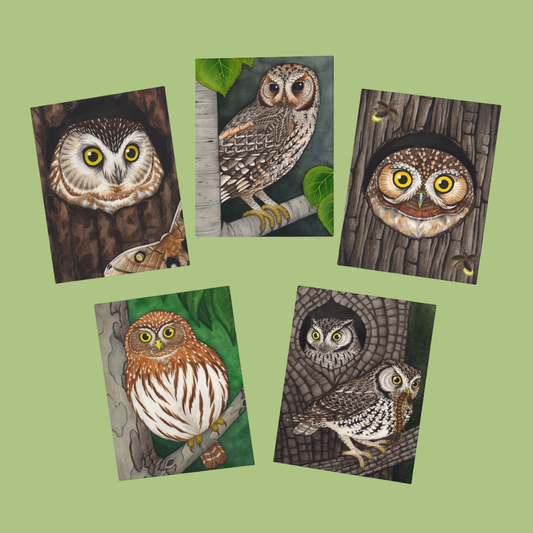 Forest Owl Cards