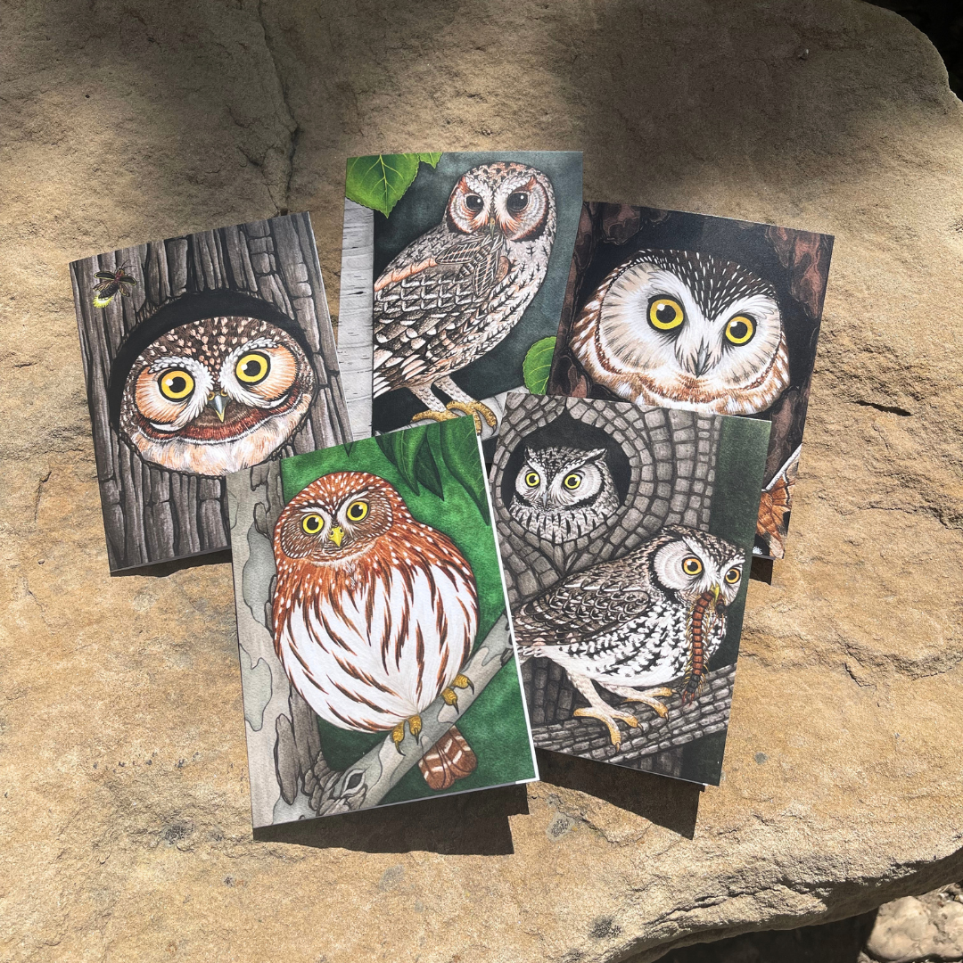 close up of painted owl cards