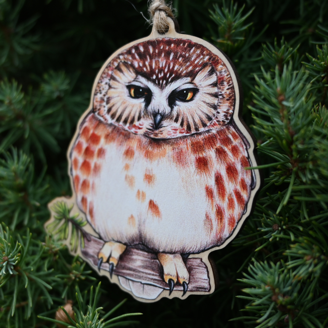 Northern Saw-whet Owl Ornament