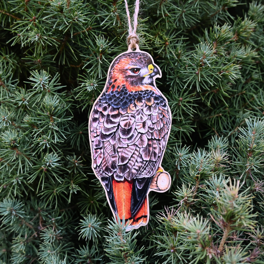 Red-tailed Hawk Ornament