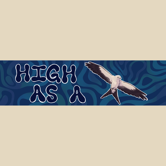 High as a Kite bumper sticker for birders and hawkwatchers
