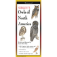 Sibley's Owls of North America