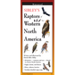 Sibley’s Raptors of Western North America