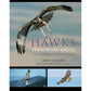 Hawks From Every Angle