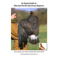 In-hand Guide to Diurnal North American Raptors